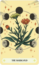 Load image into Gallery viewer, Herbana Witch Oracle