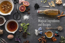 Load image into Gallery viewer, WitchCraft Cocktails by Julia Halina Hadas