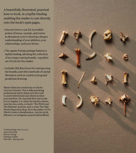 Load image into Gallery viewer, Throwing Bones, Crystals, Stones, and Curios