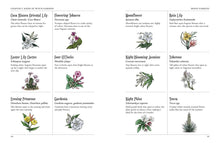 Load image into Gallery viewer, Green Witch's Garden by Arin Murphy - Hiscock - BESPELL & CO.