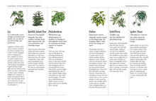 Load image into Gallery viewer, Green Witch's Garden by Arin Murphy - Hiscock - BESPELL & CO.