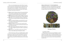 Load image into Gallery viewer, Green Witch's Garden by Arin Murphy - Hiscock - BESPELL & CO.