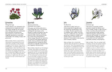Load image into Gallery viewer, Green Witch's Garden by Arin Murphy - Hiscock - BESPELL & CO.