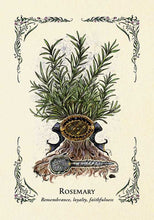 Load image into Gallery viewer, Green Witch's Oracle Deck by Arin Murphy - Hiscock - BESPELL & CO.