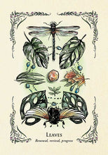 Load image into Gallery viewer, Green Witch's Oracle Deck by Arin Murphy - Hiscock - BESPELL & CO.