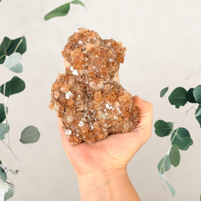 Load image into Gallery viewer, Large Aragonite Cluster - Crystals