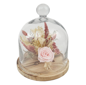 10" Pink Preserved Rose Botanical Cloche - BESPELL & CO.