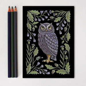 Owl Art Print Folk Decor