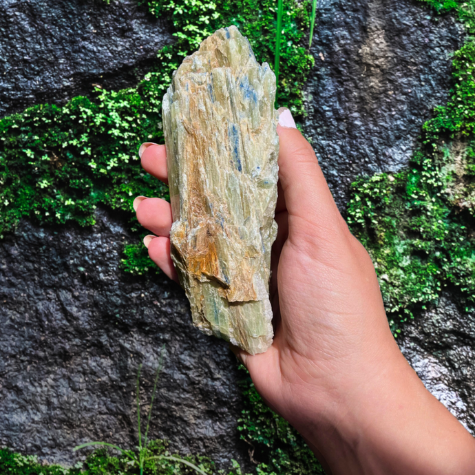 Large Green Kyanite Blade with Streaks of Blue Kyanite