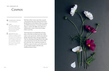 Load image into Gallery viewer, Healing Power of Flowers by Claire Bowen
