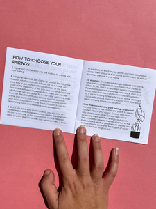 Plants + Crystals: An Energetic Pairing Zine