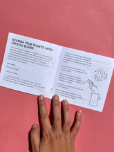 Load image into Gallery viewer, Plants + Crystals: An Energetic Pairing Zine