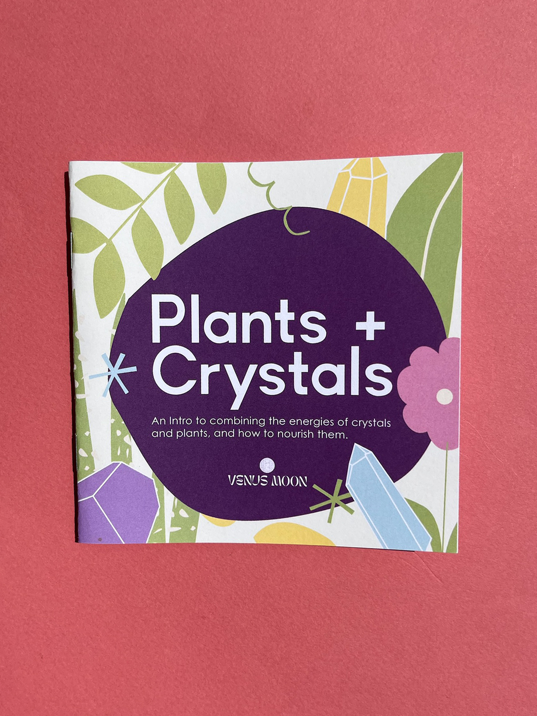 Plants + Crystals: An Energetic Pairing Zine