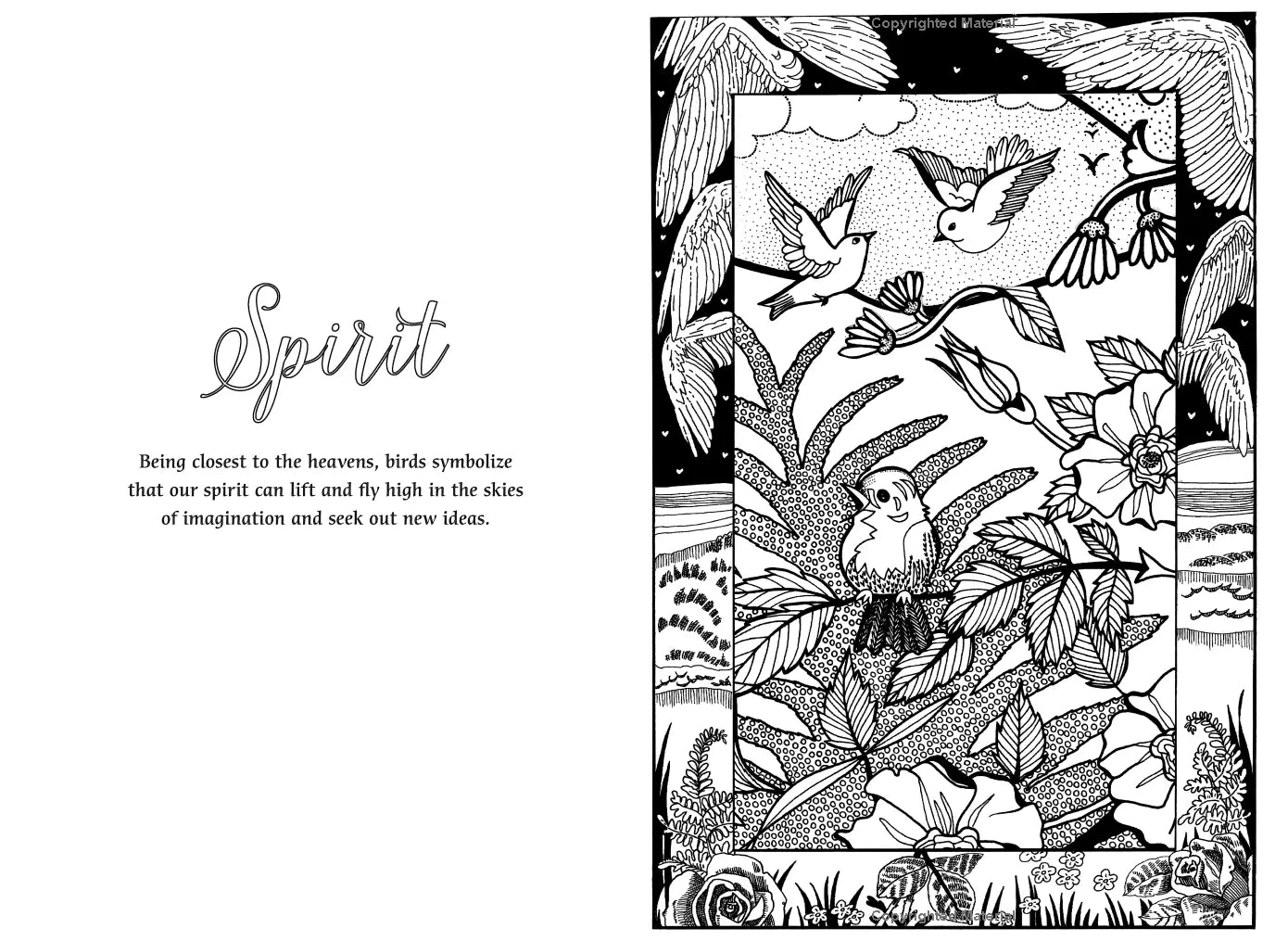Mystical World Spiral Bound Coloring Book, Explore 30 Captivating Coloring  Pages, Featuring Creatures and Landscapes from a Mystical World from cazoe