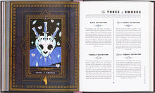 Load image into Gallery viewer, Tarot &amp; Tequila: A Tarot Guide with Cocktails